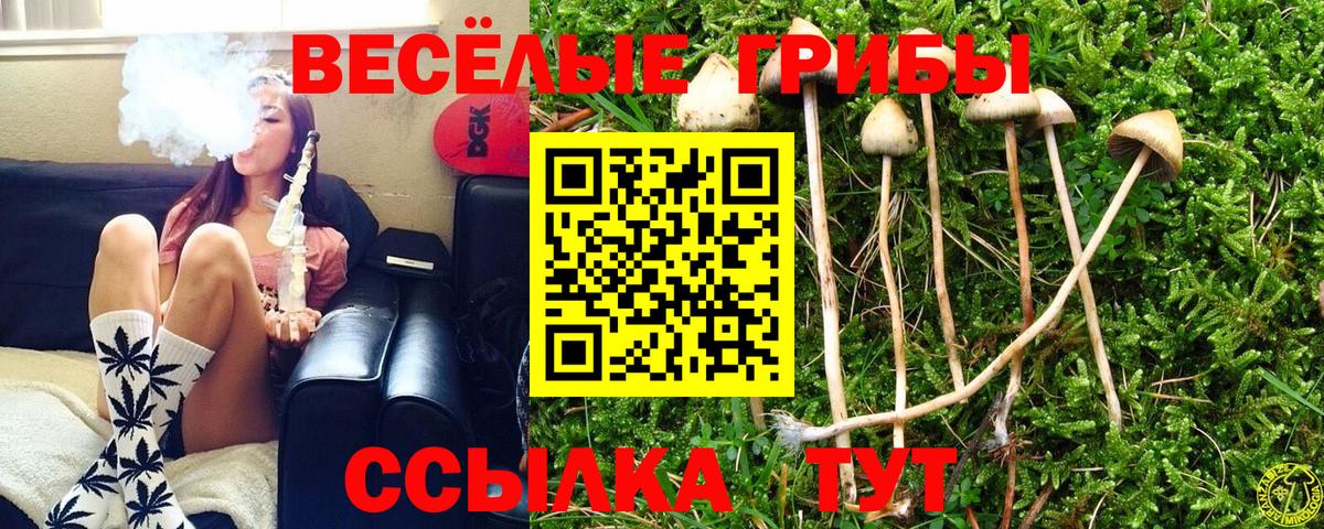 Галлюциногенные грибы мухоморы  Псилоцибиновые грибы Cubensis  Снежинск  купить   Вход с VPN 